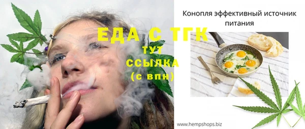 хмурый Алексин