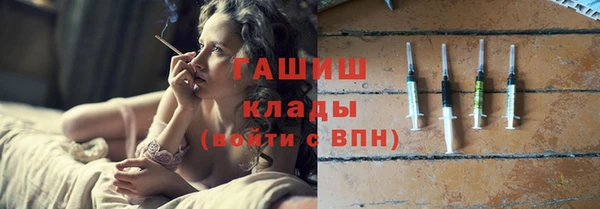 хмурый Алексин