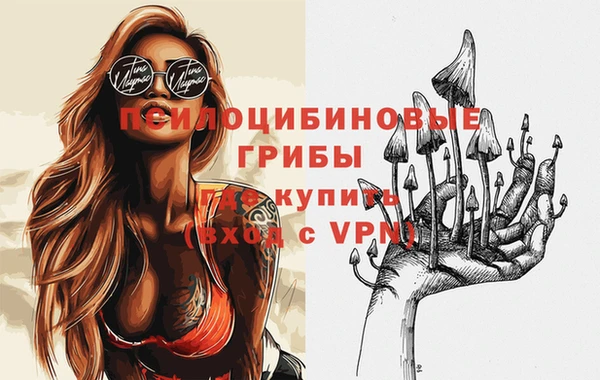 хмурый Алексин