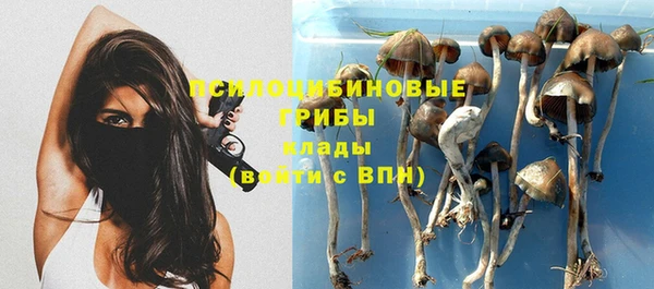 а пвп мука Алексеевка