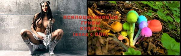 амф Покачи