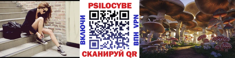 Псилоцибиновые грибы Cubensis  Лесосибирск 