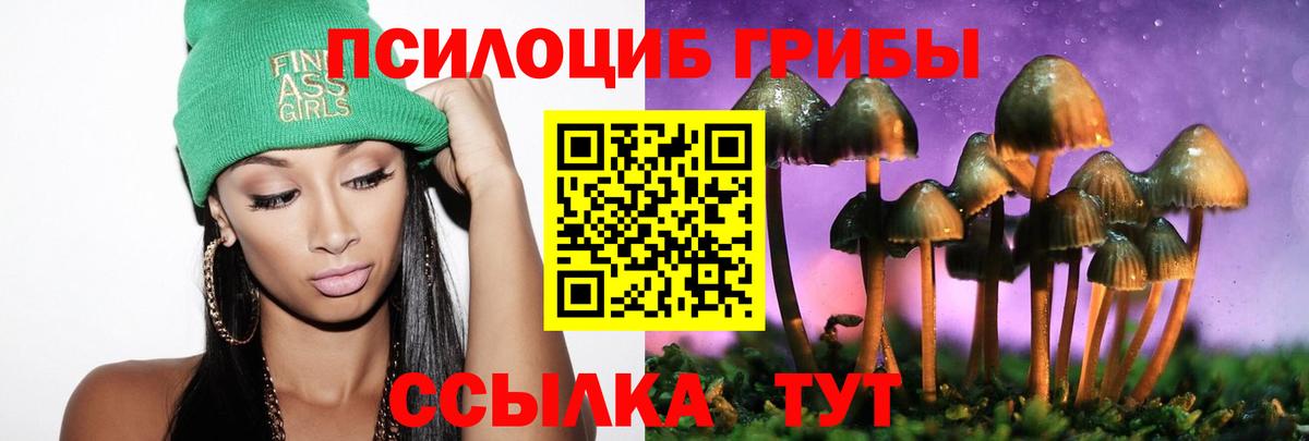Галлюциногенные грибы прущие грибы Лесосибирск