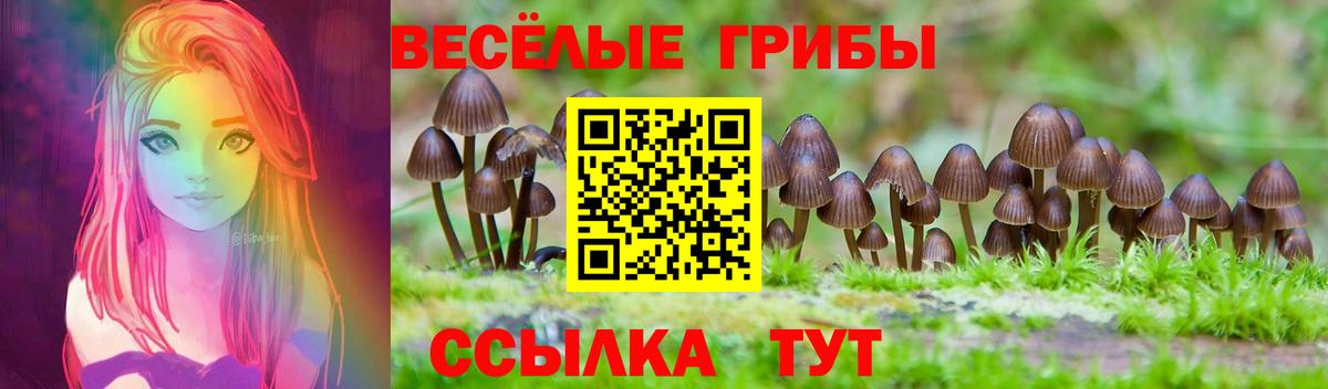 Псилоцибиновые грибы ЛСД  Вход с VPN  дарнет шоп  Лесосибирск 